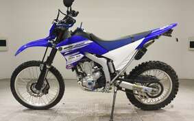 YAMAHA WR250R DG15J