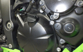 KAWASAKI NINJA ZX-6R 2014 ZX4R15