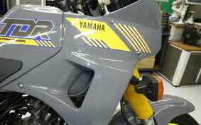 YAMAHA TDR250 2YK