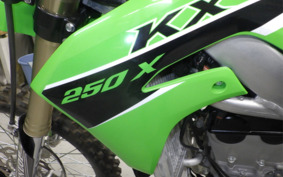 KAWASAKI KX250X KX252D