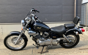 YAMAHA VIRAGO 250 3DM