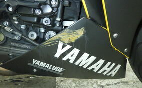 YAMAHA YZF-R1 2010 RN24J