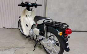 HONDA C110 SUPER CUB JA59