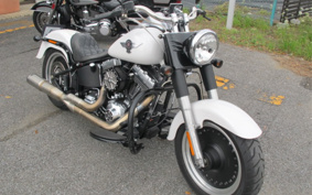 HARLEY FLSTFB 2010 JN5