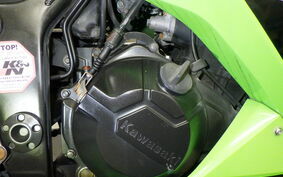 KAWASAKI NINJA 250 ABS EX250L