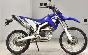 YAMAHA WR250R DG15J