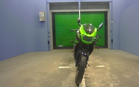 KAWASAKI NINJA150RR KR150P