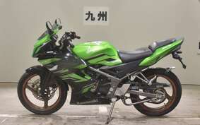 KAWASAKI NINJA150RR KR150P