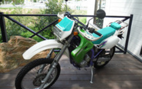 KAWASAKI KLX250 ES Type 1994 LX250E