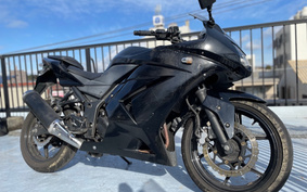 KAWASAKI NINJA 250R EX250K