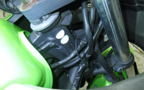 KAWASAKI NINJA 250R EX250K