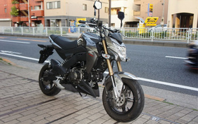 KAWASAKI Z125 PRO BR125H