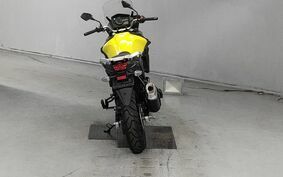 SUZUKI DL650 ( V-Strom 650 ) 2019 C733A