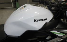 KAWASAKI Z250 ER250C