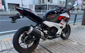 KAWASAKI NINJA 250 EX250P