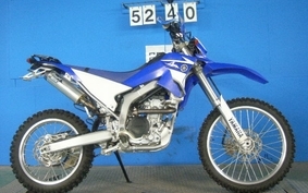 YAMAHA WR250R 2007 DG15J