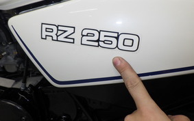 YAMAHA RZ 250 4L3