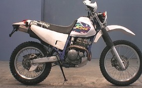 YAMAHA TT250R RAID 1994 4GY