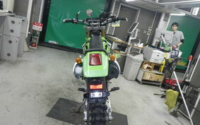 KAWASAKI KLX250 LX250E