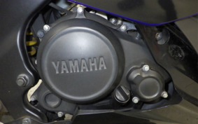 YAMAHA YZF-R15