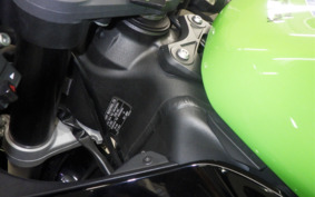 KAWASAKI NINJA ZX-6R A 2020 ZX636G