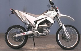 YAMAHA WR250R 2007 DG15J