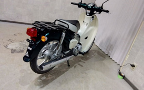 HONDA C110 SUPER CUB JA59