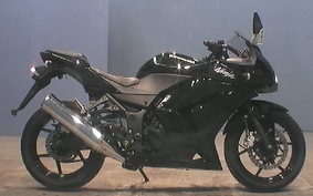 KAWASAKI NINJA 250R 2010 EX250K