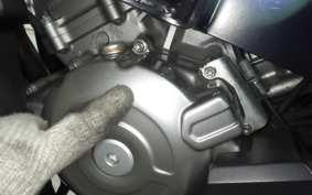 SUZUKI DL650 ( V-Strom 650 ) 2020 C733A