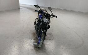 YAMAHA MT-25 RG43J