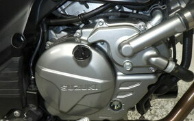 SUZUKI DL650 ( V-Strom 650 ) A 2020 C733A