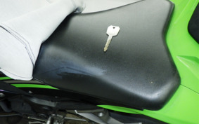 KAWASAKI NINJA 250 ABS EX250L