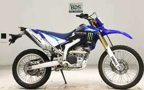 YAMAHA WR250R DG15J