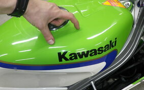 KAWASAKI KR-1 KR250B