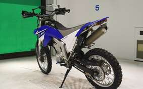 YAMAHA WR250R DG15J