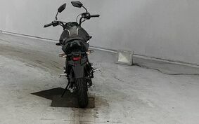 KAWASAKI Z125 PRO BR125H