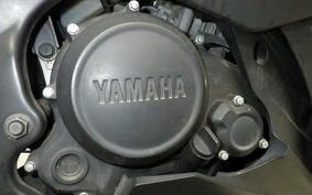 YAMAHA YZF-R15 1CK0