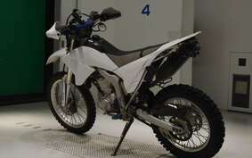 YAMAHA WR250R DG15J