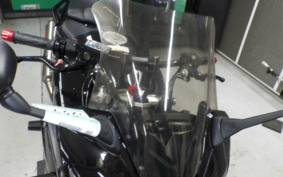 YAMAHA FZ FAZER 2008 RN21J