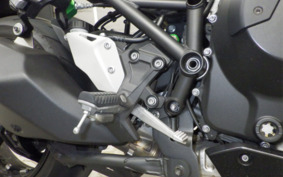 KAWASAKI NINJA H2 SX 2019