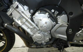 YAMAHA FZ FAZER 2010 RN21J