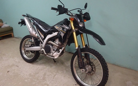 YAMAHA WR250R DG15