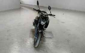 YAMAHA FZ25 不明