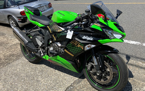 KAWASAKI NINJA ZX-6R 2019 ZX636G