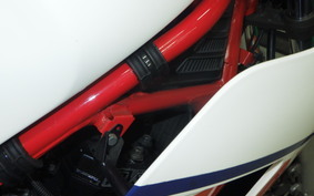 YAMAHA RZ250RR 29L