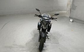 YAMAHA FZ25 不明