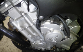 YAMAHA FZ FAZER 2009 RN21J