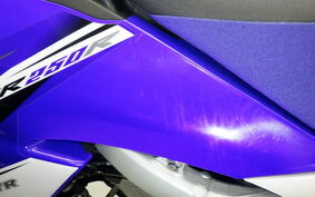 YAMAHA WR250R DG15J