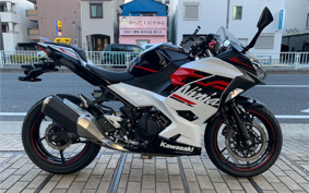 KAWASAKI NINJA 250 EX250P