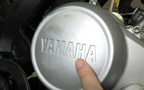 YAMAHA WR155R